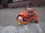 De giraffe mag ook eten op de kinderboerderij